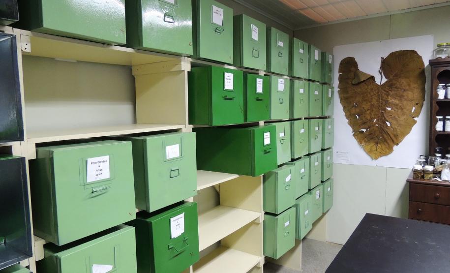 Pavilhão Terra - Herbário - Coleção Científica